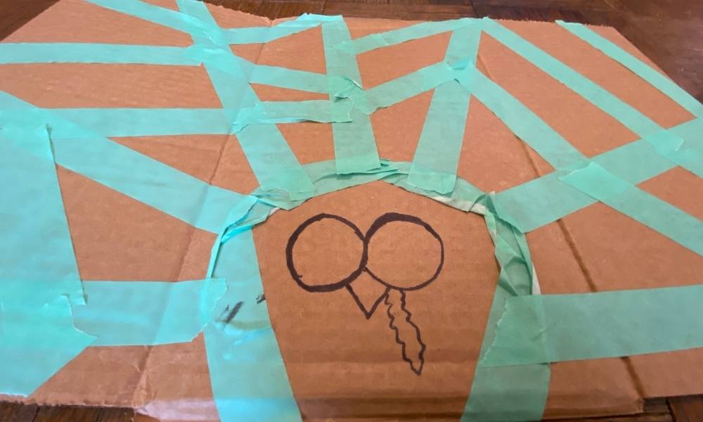 Step 3:  Turkey Face Image