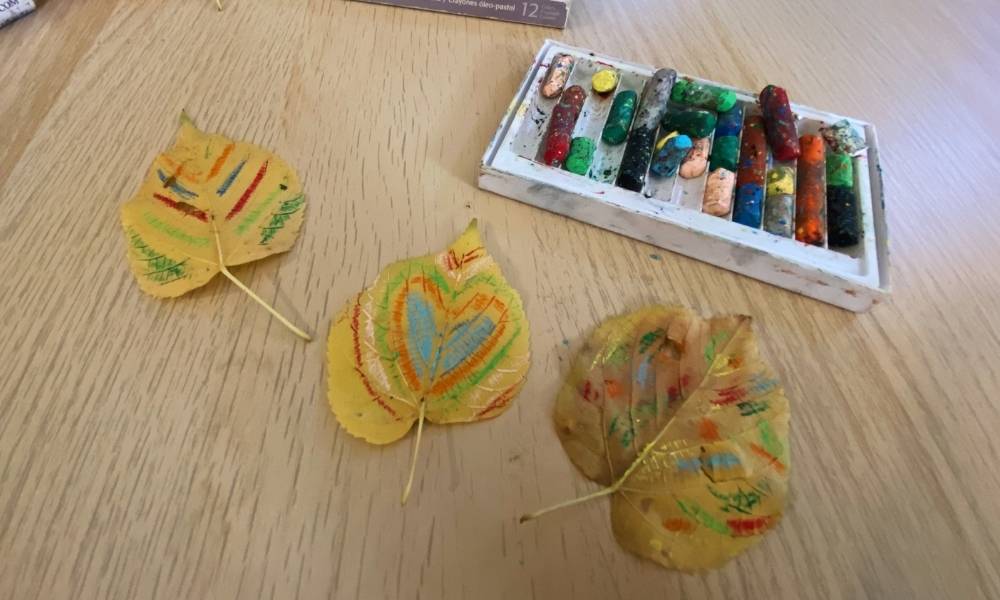 Step 3:  Leaves Image