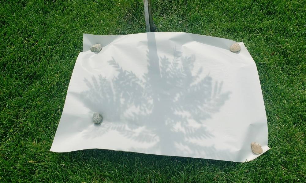 Step 3:  Set Your Paper Image