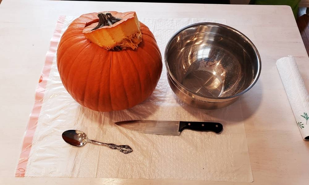 Step 2:  Ask an Adult Image