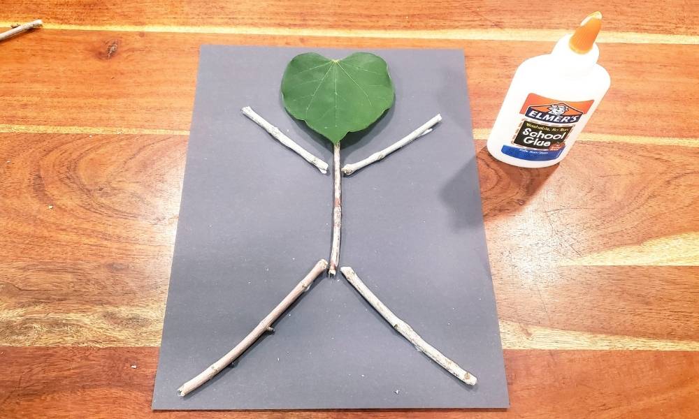 Put Your Best Face Forward Image