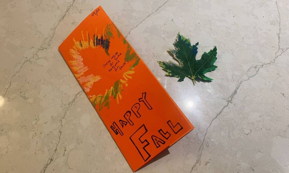 Step 5:  Shade & Share! Image