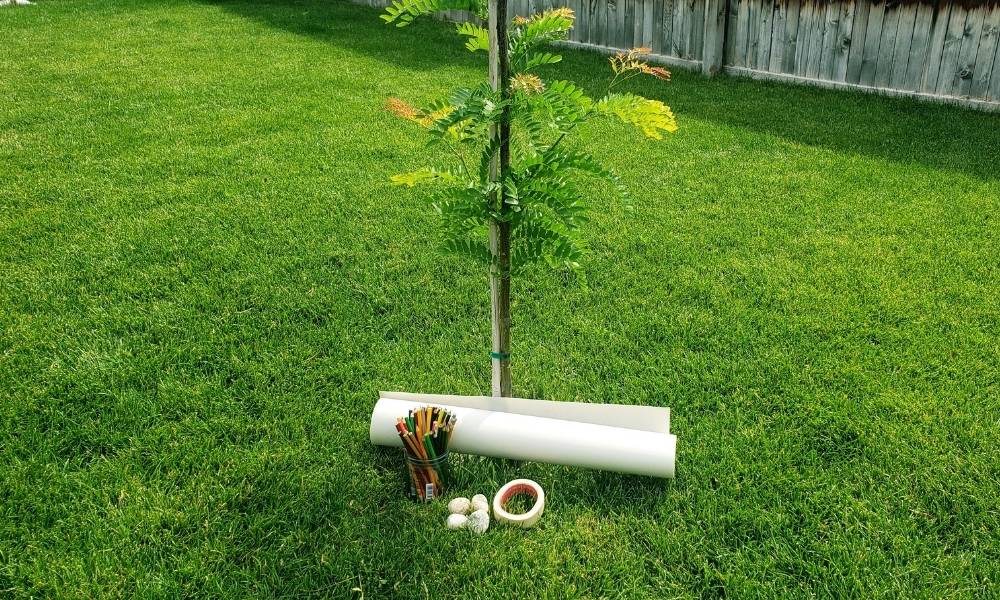 Step 1:  Materials Image