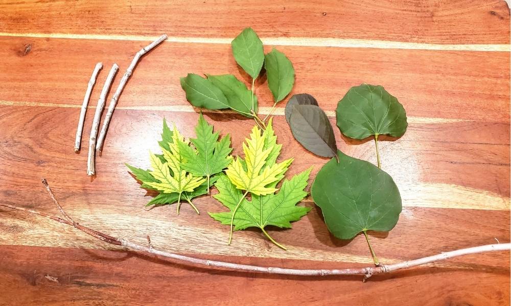 Get Out Into Nature Image