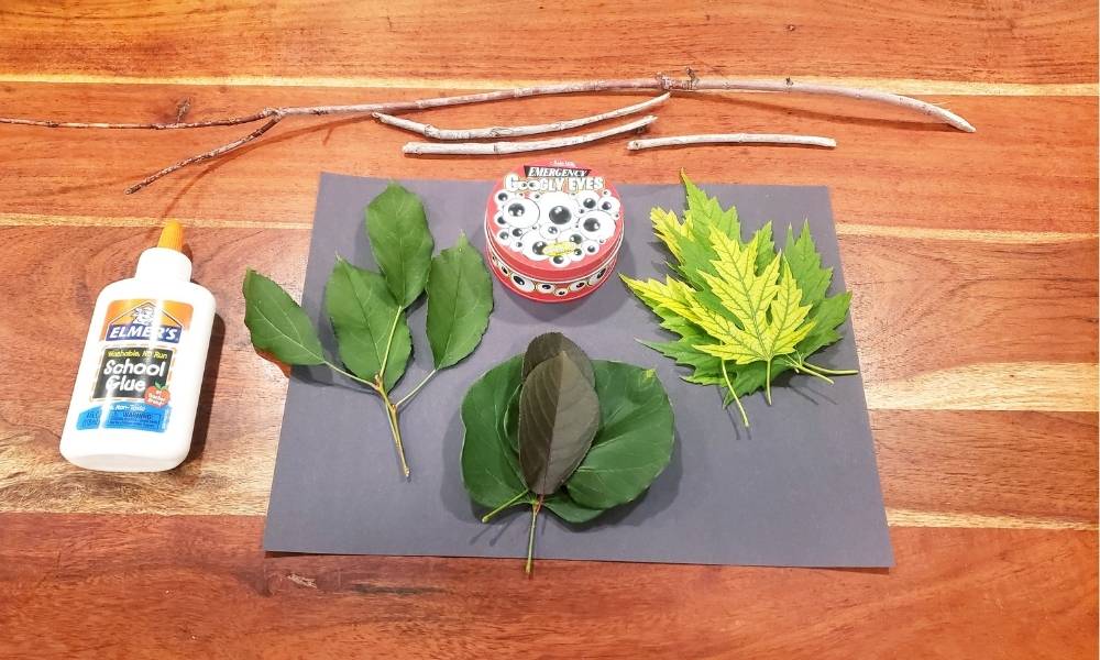 Step 1: Materials Image