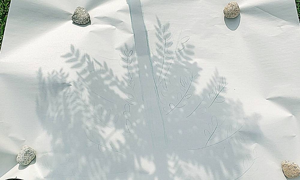 Step 4:  Trace Image