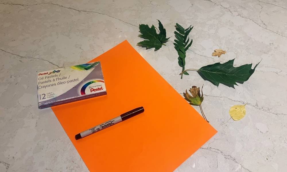 Step 1: Materials Image